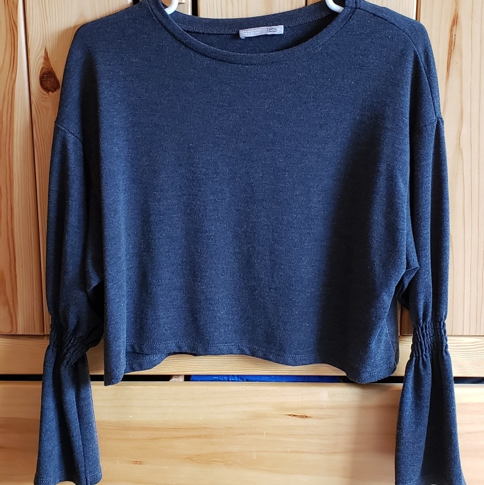 Zara Long Sleeve Crop